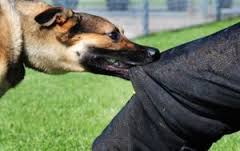 bite kukur
