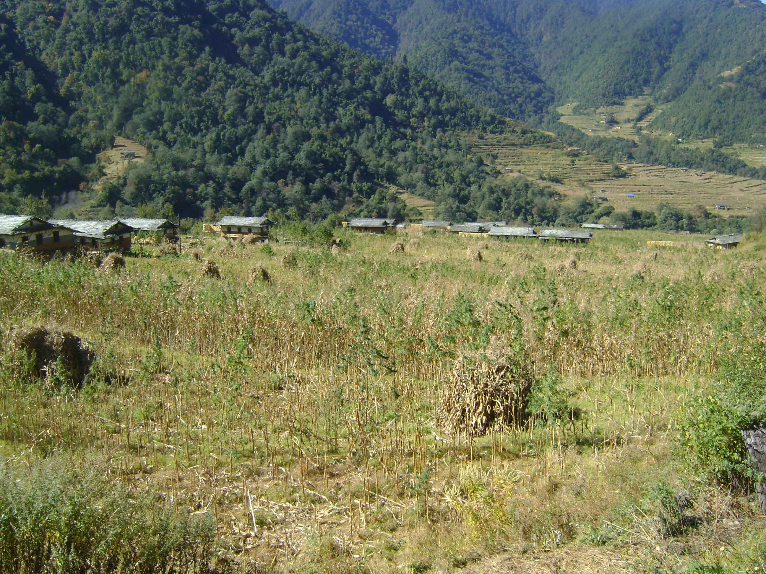 Funtibang Rolpa