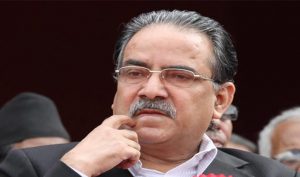 puspakamal-dahal