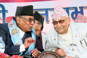 dahal-oli