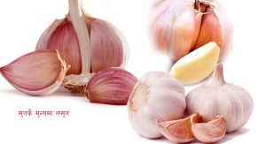 Garlicwwwone