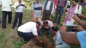 Reforestation 2
