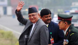 kp-oli-1500x716