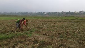 krishi 1