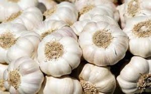 onion