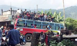 bus