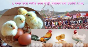 challa mahotsav